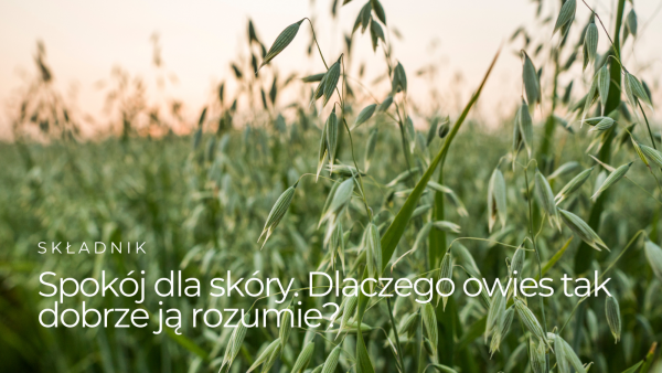 Spokój dla skóry. Dlaczego owies tak dobrze ją rozumie?
